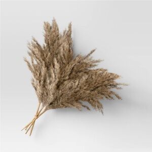 THRESHOLD NWT natural pampas dried grass preserved bundle -brown